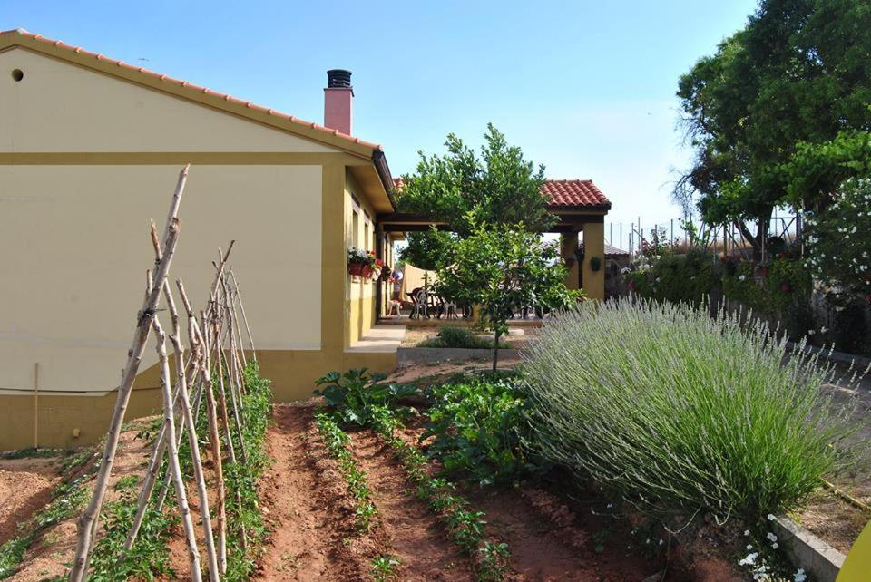 Apartamentos La Bodega Del Abuelo Bujalaro Экстерьер фото
